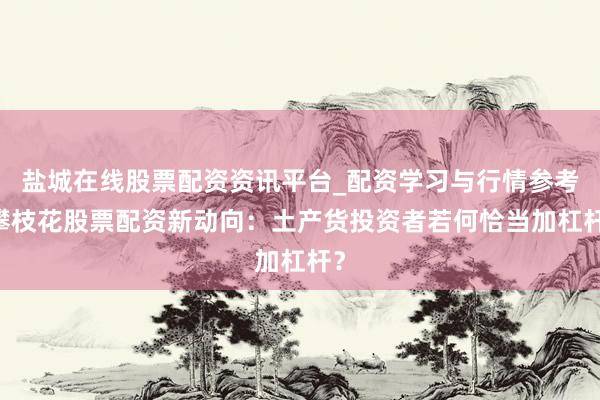 盐城在线股票配资资讯平台_配资学习与行情参考 攀枝花股票配资新动向：土产货投资者若何恰当加杠杆？