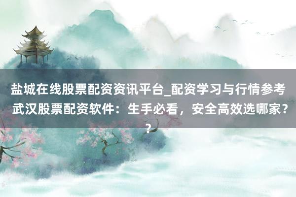 盐城在线股票配资资讯平台_配资学习与行情参考 武汉股票配资软件：生手必看，安全高效选哪家？