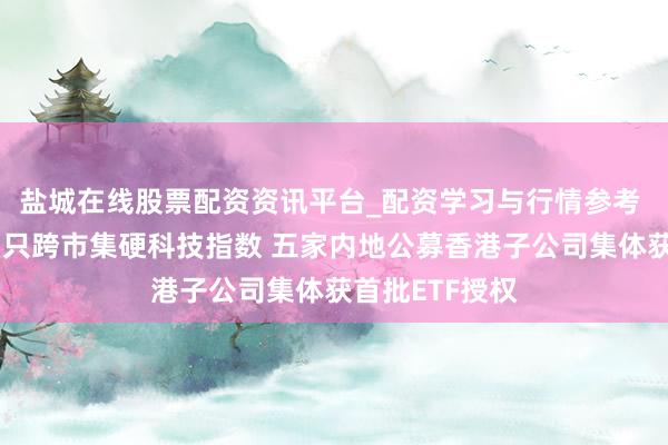 盐城在线股票配资资讯平台_配资学习与行情参考 港交所推出两只跨市集硬科技指数 五家内地公募香港子公司集体获首批ETF授权