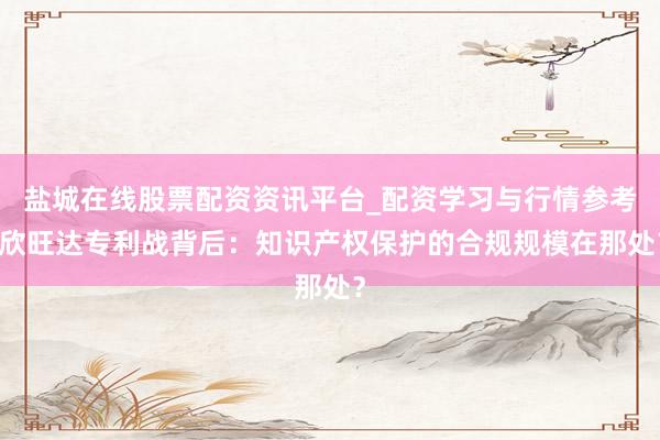 盐城在线股票配资资讯平台_配资学习与行情参考 欣旺达专利战背后：知识产权保护的合规规模在那处？