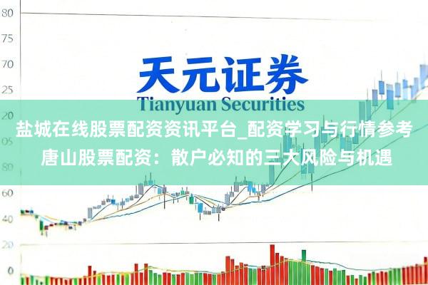 盐城在线股票配资资讯平台_配资学习与行情参考 唐山股票配资：散户必知的三大风险与机遇