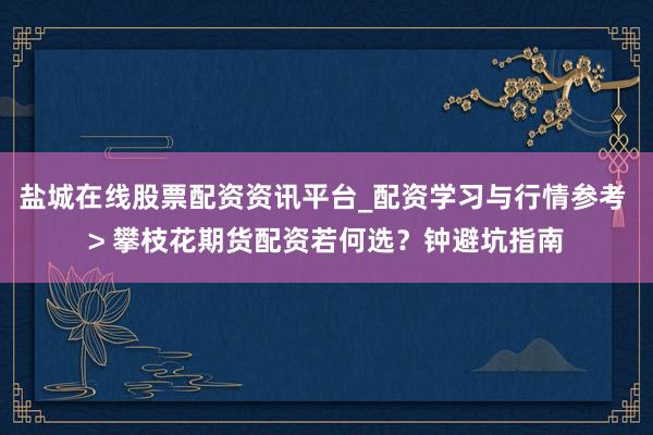 盐城在线股票配资资讯平台_配资学习与行情参考 > 攀枝花期货配资若何选？钟避坑指南